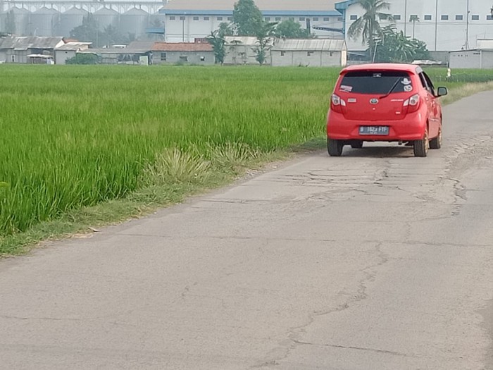 Tanah Sawah Dijual di Buni Asih Permai Cikarang